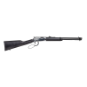 carabine rio bravo nickel black 22lr